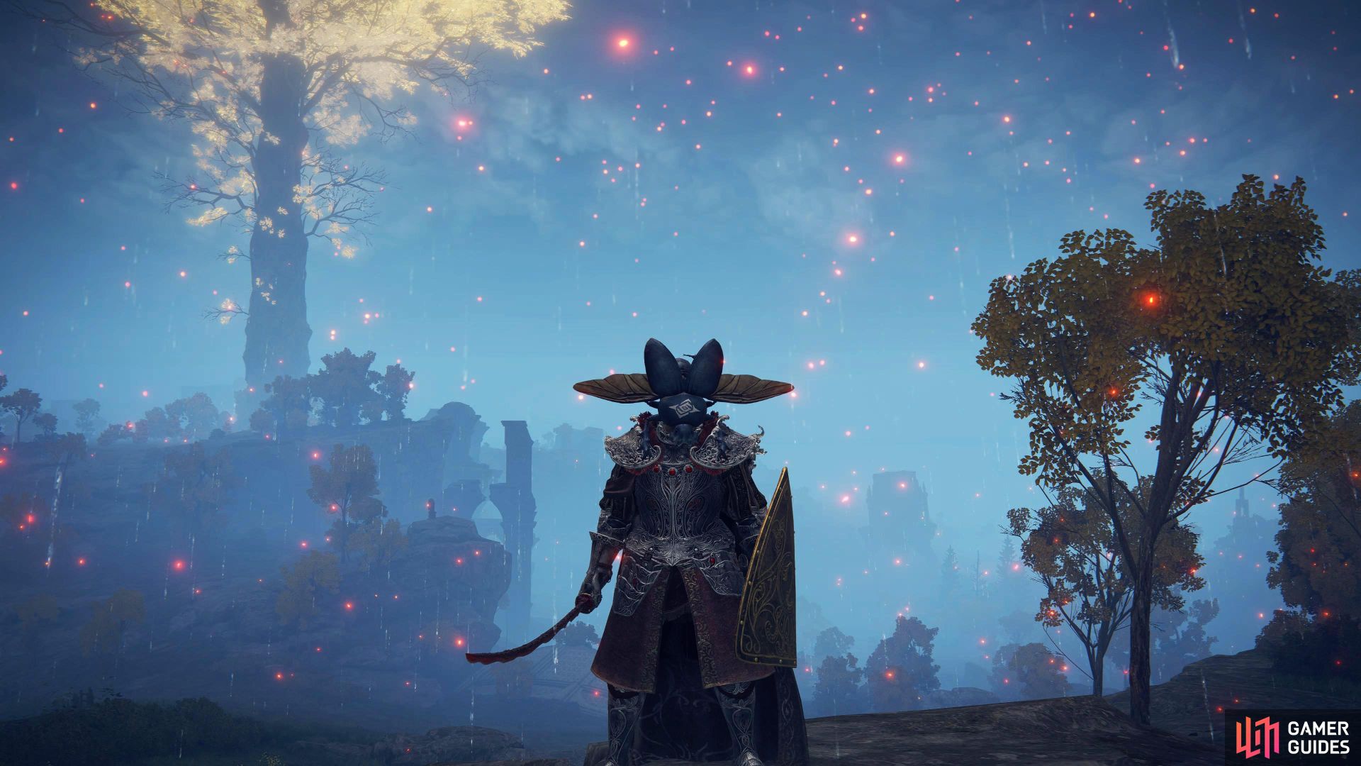 Demo Image